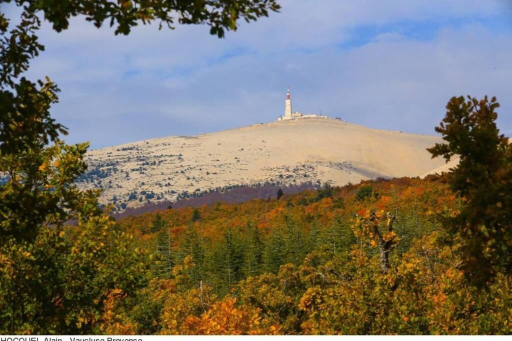 Vue Panoramique Sur Le Chateau,Montagne Et Grottes Fontaine-de-Vaucluse Zewnętrze zdjęcie