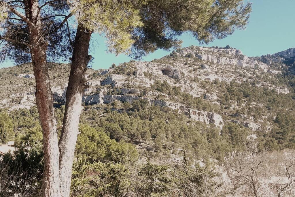 Vue Panoramique Sur Le Chateau,Montagne Et Grottes Fontaine-de-Vaucluse Zewnętrze zdjęcie