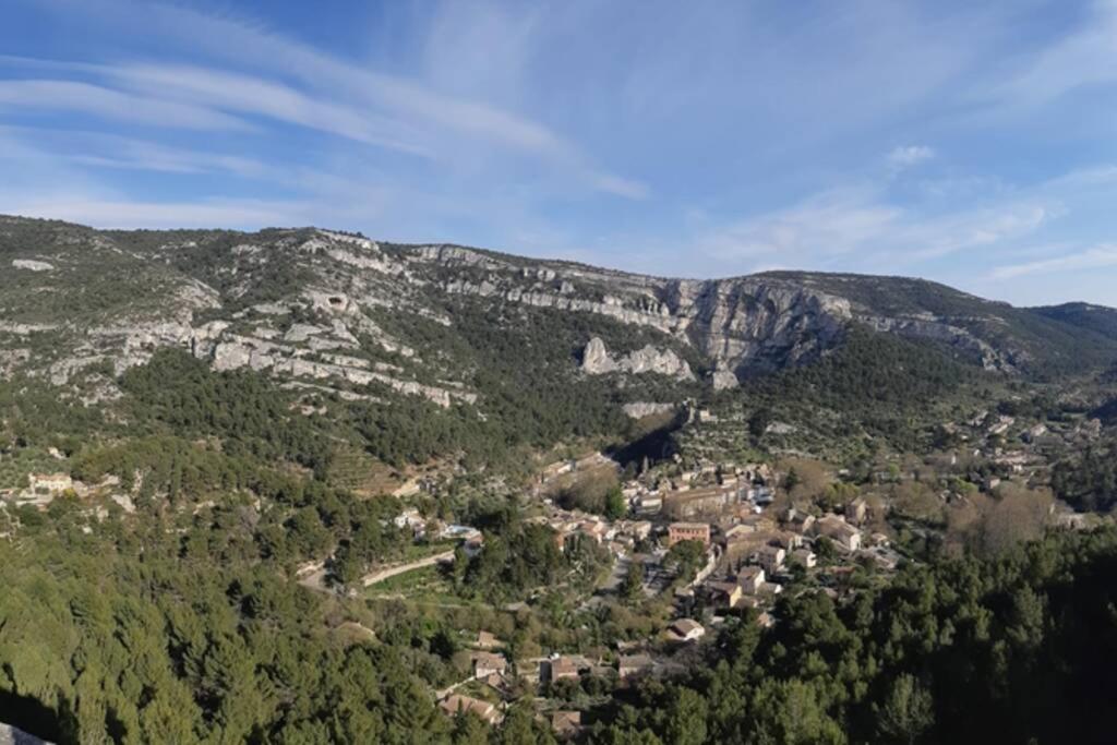 Vue Panoramique Sur Le Chateau,Montagne Et Grottes Fontaine-de-Vaucluse Zewnętrze zdjęcie